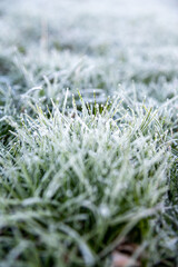 Nahaufnahme eines Grasbüschels mit Eiskristallen und Raureif bedeckt als Makro Hintergrund