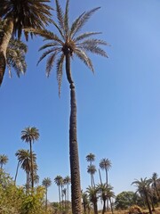 beauty of mount abu hill station,rajasthan,india