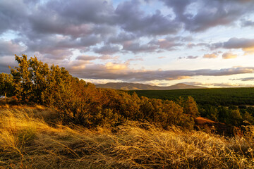 Puesta de sol en el campo con el sol poniendose en el horizonte, árboles, plantas y tierra roja de la zona de Riaza en Segovia.
