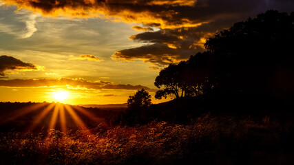 Puesta de sol en el campo con el sol poniendose en el horizonte, árboles, plantas y tierra roja de la zona de Riaza en Segovia.
