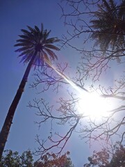 beauty of mount abu hill station,rajasthan,india