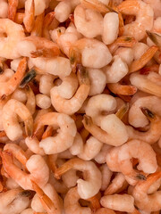shrimps on the market
