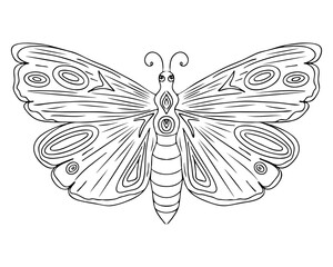 Line butterfly isolated on the white background