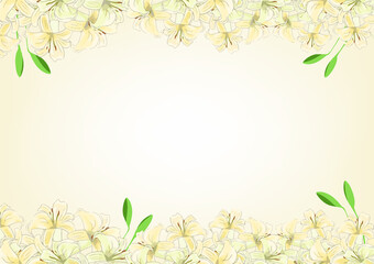 手書きの百合(ゆり)のきれいな花の背景・フレームイラスト素材