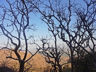 beauty of mount abu hill station,rajasthan,india