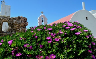 Himmel &uuml;ber Griechenland und blumen