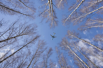 Low angle view of flying aircraft over heart shaped tree branches