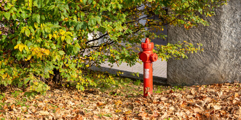 red hydrant surrounded by dry fallen leaves in autumn