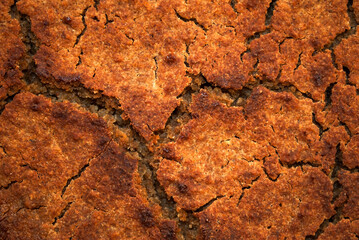 Dark gluten-free bread. Background, full frame. Round gluten free homemade bread. Buckwheat, chickpea, rice, corn flour, eggs and honey. healthy eating concept, flat lay