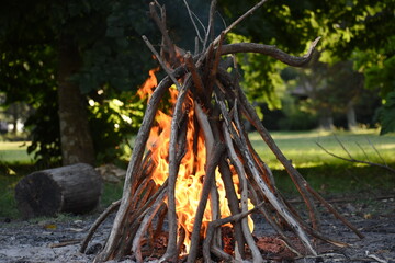 campfire in the forest