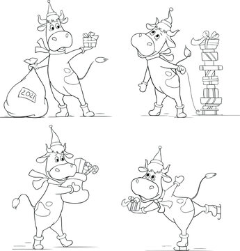 Vector set of cartoon bull in Santa Claus costume holding present isolated on white. Merry Christmas and New Year greetings. Hand drawn illustrations. Coloring book for children. New year 2021 symbol