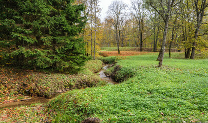 Small winding stream in the Gauja National Park in the city of Sigulda in Latvia in autumn.