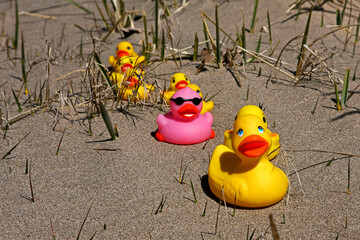 Sandy beach with grass, yellow ducks and one different pink duck with sun glasses.