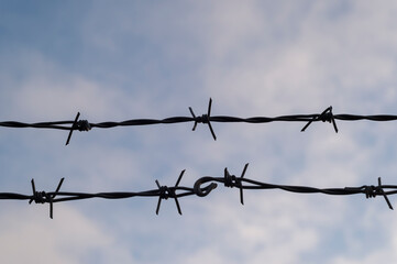 barbed wire