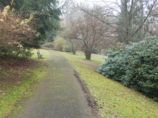 Naklejka premium autumn season in the city park