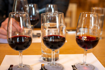 Professional tasting of different fortified dessert ruby, tawny port wines in glasses in porto cellars in Vila Nova de Gaia, Portugal
