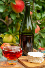Taste of Normandy, France, glass of apple cider and camembert cheese and green apple tree with ripe red fruits on background
