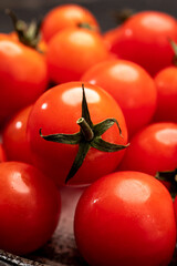 Small red ripe Sweet Enjoy cherry vine tomatoes, Rivolo variety