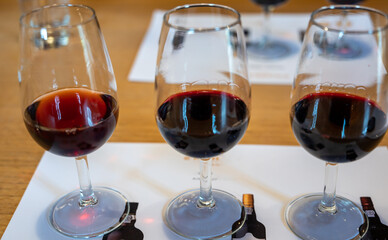 Professional tasting of different fortified dessert ruby, tawny port wines in glasses in porto cellars in Vila Nova de Gaia, Portugal