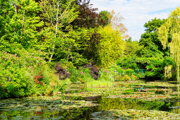 Pond with lilies in Giverny