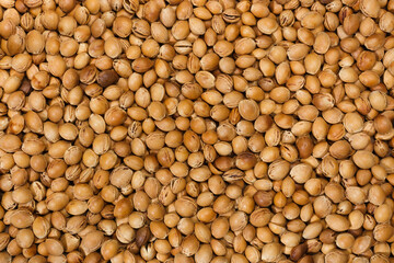 A heap of sour cherry pits texture