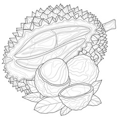 Durian and lychee. Tropical fruits.Coloring book antistress for children and adults. Zen-tangle style.Black and white drawing