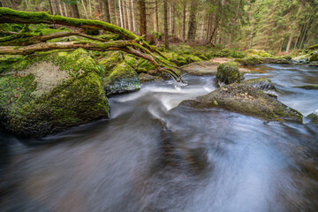Spätherbst am Höllbach im Waldviertel (Sony A7R II)