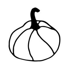 Single hand drawn pumpkin for greeting cards, posters, recipe, culinary design. Isolated on white background. Doodle vector illustration.
