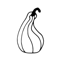 Single hand drawn pumpkin for greeting cards, posters, recipe, culinary design. Isolated on white background. Doodle vector illustration.