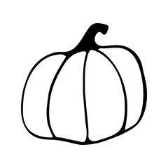 Single hand drawn pumpkin for greeting cards, posters, recipe, culinary design. Isolated on white background. Doodle vector illustration.