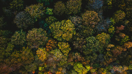 Aerial photography of Aarhus forrest