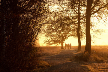 Spaziergang im Morgennebel