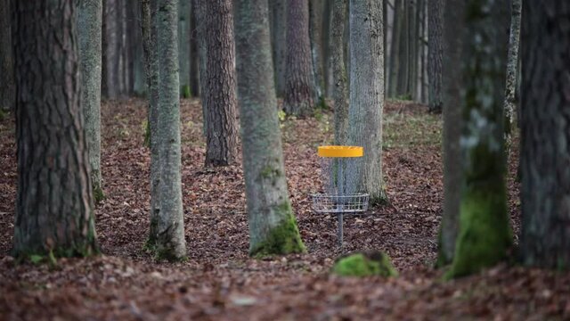 Disc Golf target basket yellow in the autumn forest and brown leaves fallen on the ground and trees in the background one miss disc misses the target slower