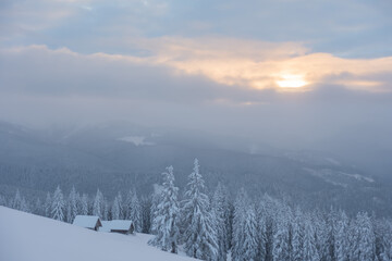 Wonderful winter in the Ukrainian Carpathian Mountains with snow-covered houses and spruce around