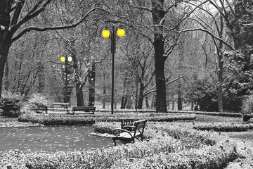 Winter in the city park in shades of gray