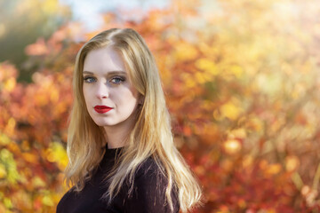 Portrait of attractive girl posing in autumn park. Horizontally. 