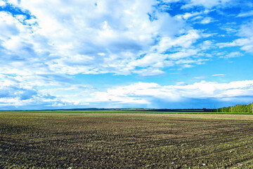 Fototapeta na wymiar Beautiful landscape with green field and large white clouds.