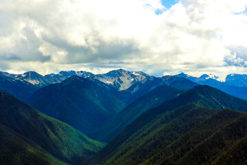 Fototapeta premium Olympic Mountain range, Olympic National Park, Washington, USA.
