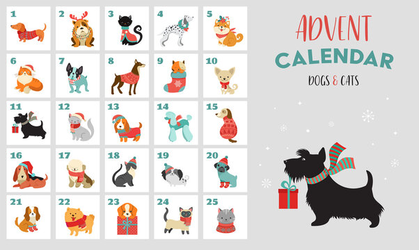 Christmas advent calendar with dogs. Funny Xmas poster with puppies, dogs wearing winter clothes, Christmas accessories 