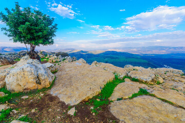 Fototapeta na wymiar Galilee landscape view from mount Arbel