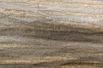 Brown floorboard, background for designers, wood texture.