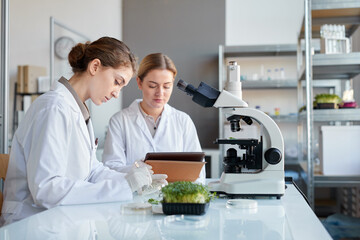 Obraz premium Side view portrait of two female scientists holding petri dish while examining plant samples during lab research, copy space