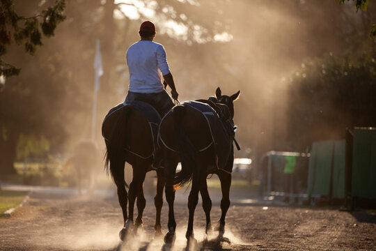 petiseros llevando los caballos por un camino despu&eacute;s de haber jugado al polo
