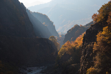 Amazing view with colorful autumn forest with asphalt mountain road at sunset. Beautiful landscape with empty road, trees and sunlight in the evening in autumn. Travel background. Nature