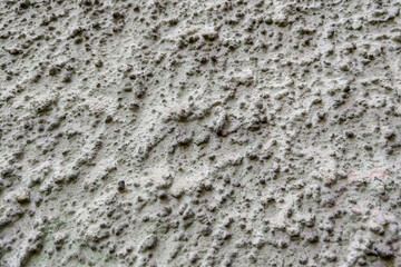 Texture of old gray concrete wall for background.