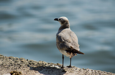 Thinking something bigger