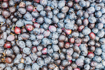 Detail of a pile of black olives collected to squeeze their oil.