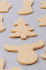 Raw gingerbread cookies on the white baking sheet.