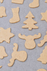 Raw gingerbread cookies on the white baking sheet.