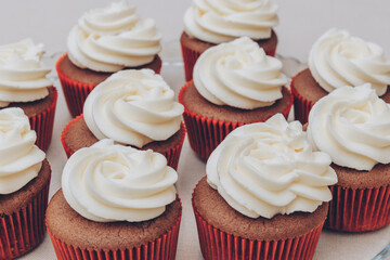 Delicious chocolate cupcakes with swirled frosting cream on top on the bright tablecloth.
